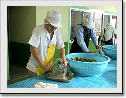 �������̎���