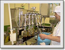 �|���|���傤��̕r�l��